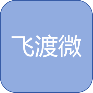 深圳飞渡微电子有限公司