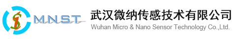武汉微纳传感技术有限公司
