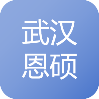 武汉恩硕科技有限公司
